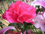 d9032057.JPG