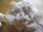 70db8eb9.JPG