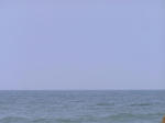 sea.JPG