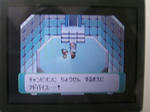 09-7-31mikuri.JPG