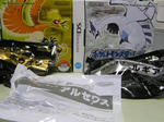 09-9-12HGSS.JPG