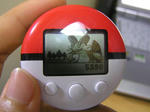 09-10-3poke.JPG