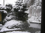 10-3-30snow.JPG