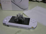 10-6-1psp1.JPG