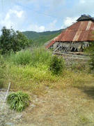 DSC00139.JPG