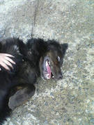 DSC00134.JPG