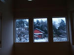 20080121-17.JPG