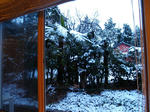 20080121-19.JPG