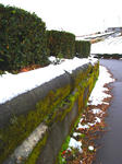 20080121-1.JPG