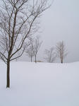 20080122-3.JPG
