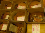 20080205-4.JPG