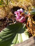 20080215.JPG
