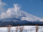 20080211-6.JPG