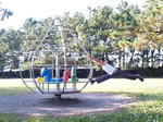 2009915.JPG