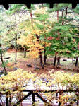 20091027.JPG