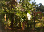 20091034.JPG