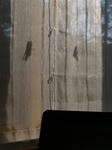 20091033.JPG