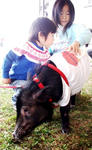 20091113.JPG