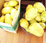 20091116.JPG