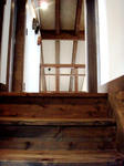 20091135.JPG