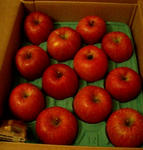 20091150.JPG