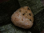 201047.JPG