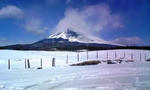 201058.jpg