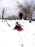 201064.JPG