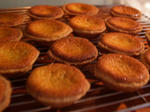 201091.JPG