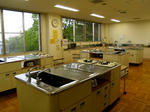 2010142.JPG