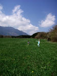 2010165.JPG