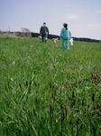 2010159.JPG