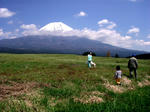 2010161.JPG