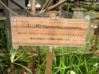 三又の解説