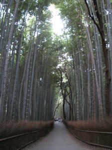 嵯峨野っぽいとこ其の参