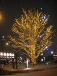 obihiro-irumi.JPG
