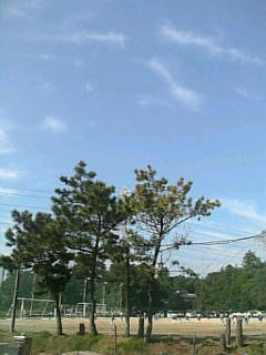 小坊サッカー練習