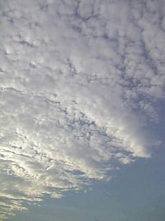 485ac8a1jpeg