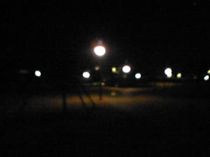夜の公園・・・
