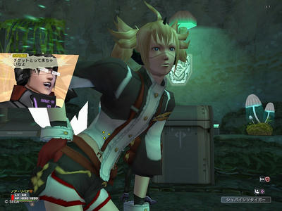 44a33329.jpeg