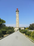 2010