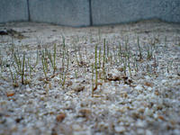 CA340073.jpg
