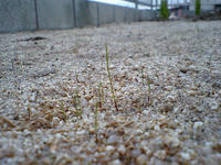 CA340072.jpg