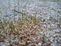 CA340075.jpg