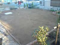 SN3E0027.jpg