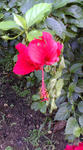 F1000054.JPG