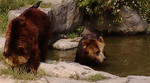 F1000095.JPG