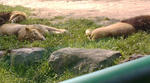 F1000097.JPG