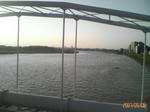 P1000050mini.jpg