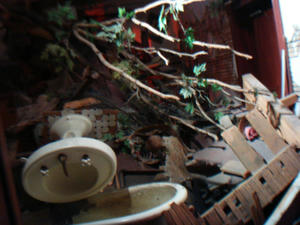 DSC06183.JPG